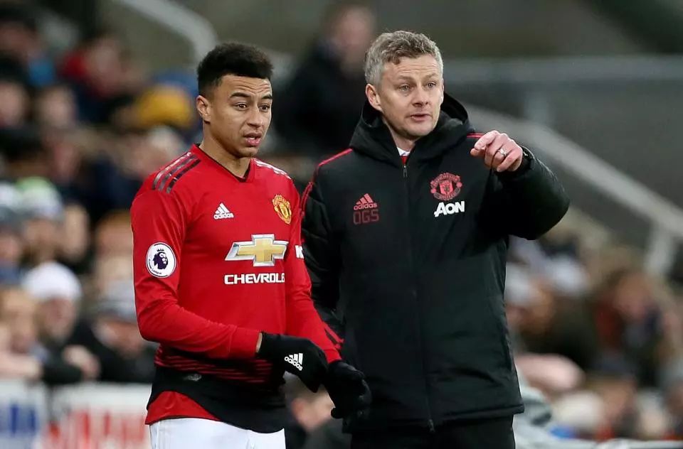 大球迷热议 大球迷热议